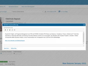 Consultant profile in decídalo with the summary editor, which now supports hyperlinks in the text