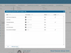 decídalo-Dialog „Abdeckung der gesuchten Skills“: Liste der geforderten Skills mit Level, Pflichtangabe und Häkchen für erfüllte Anforderungen