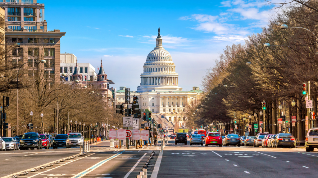 Thriving Despite Federal Cutbacks: IT Consulting Strategies for 2025